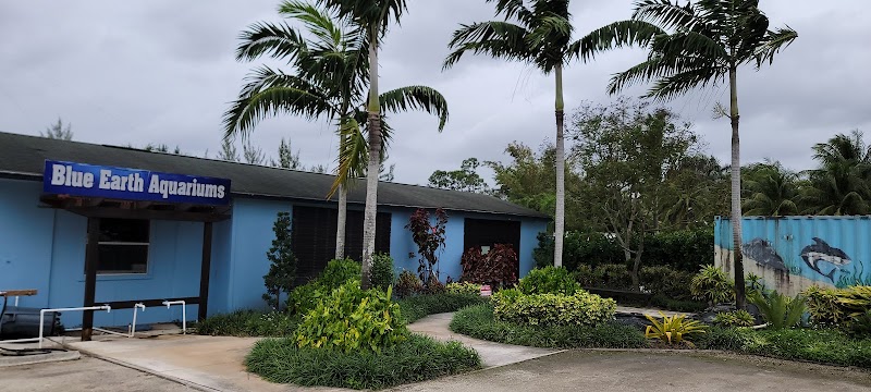 Blue Earth Corals & Aquariums - Photo 1