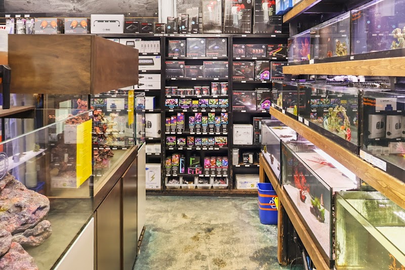 Blue Earth Corals & Aquariums - Photo 3