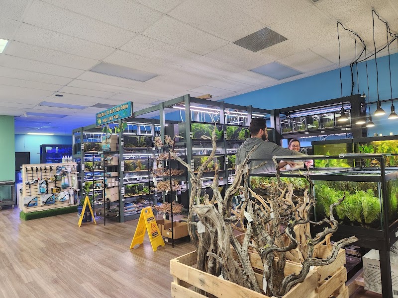 Nature Aquariums - Photo 2