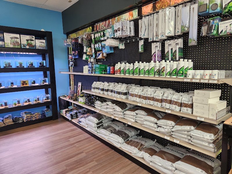 Nature Aquariums - Photo 4