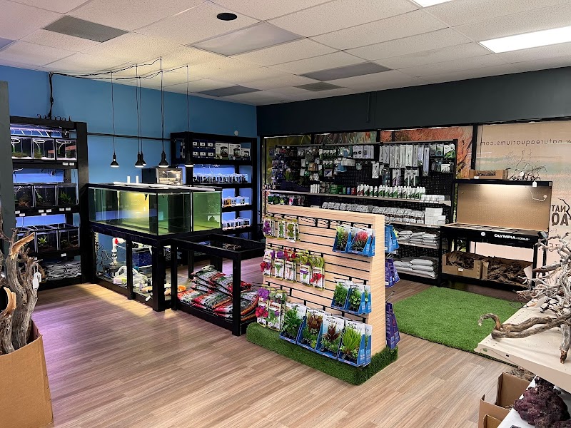 Nature Aquariums - Photo 5