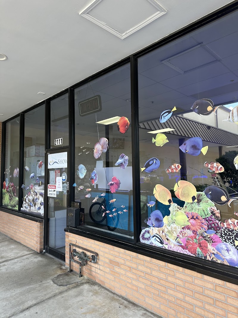 Aquarium Show - Photo 1