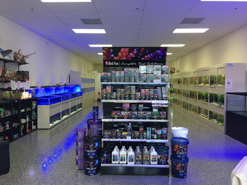 Aquarium Show - Photo 2