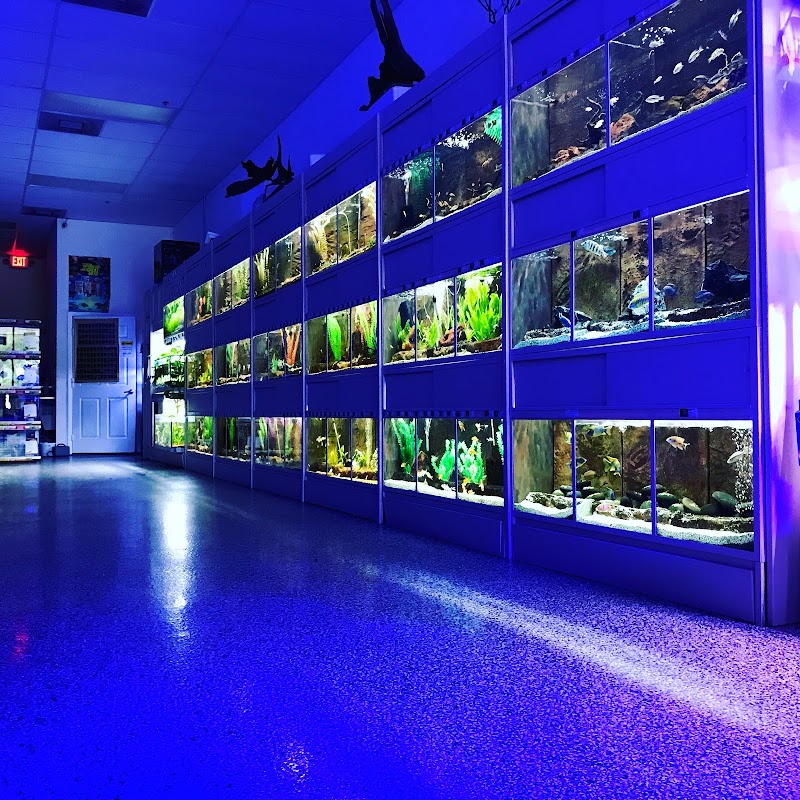 Aquarium Show - Photo 3
