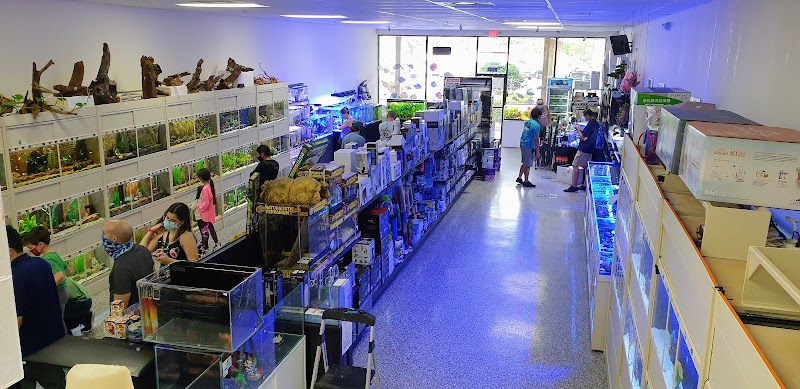 Aquarium Show - Photo 4