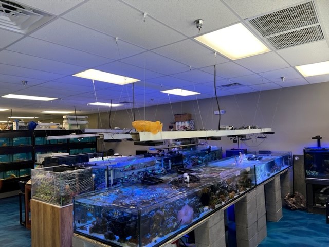 Professional Fish Keepers - Photo 2