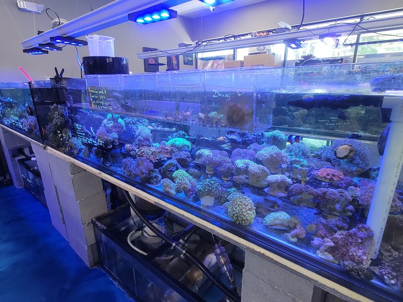 Professional Fish Keepers - Photo 3