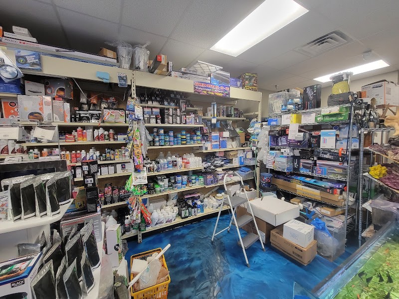 Professional Fish Keepers - Photo 4