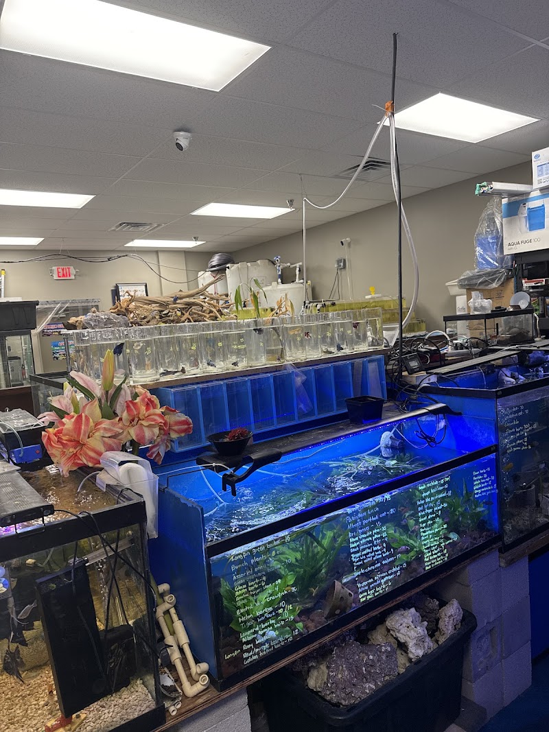 Professional Fish Keepers - Photo 5