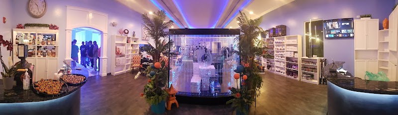 Seven Seas Aquatics - Photo 2