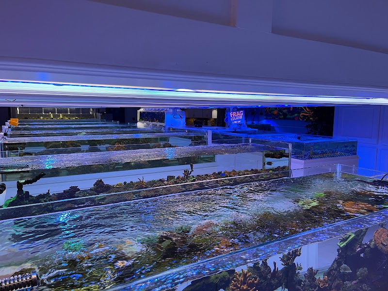 Seven Seas Aquatics - Photo 4