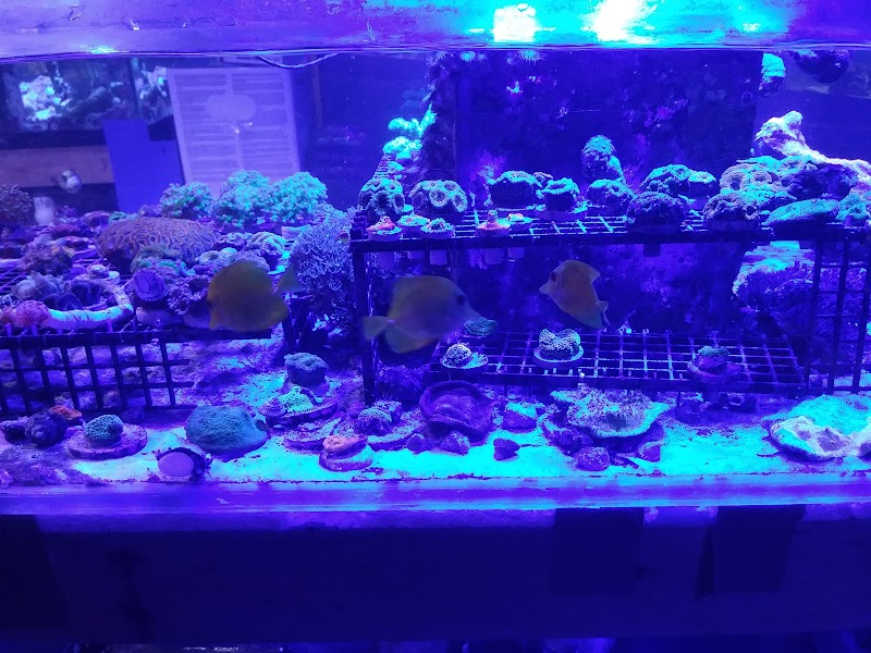 Aquarium & Reef Center - Photo 5