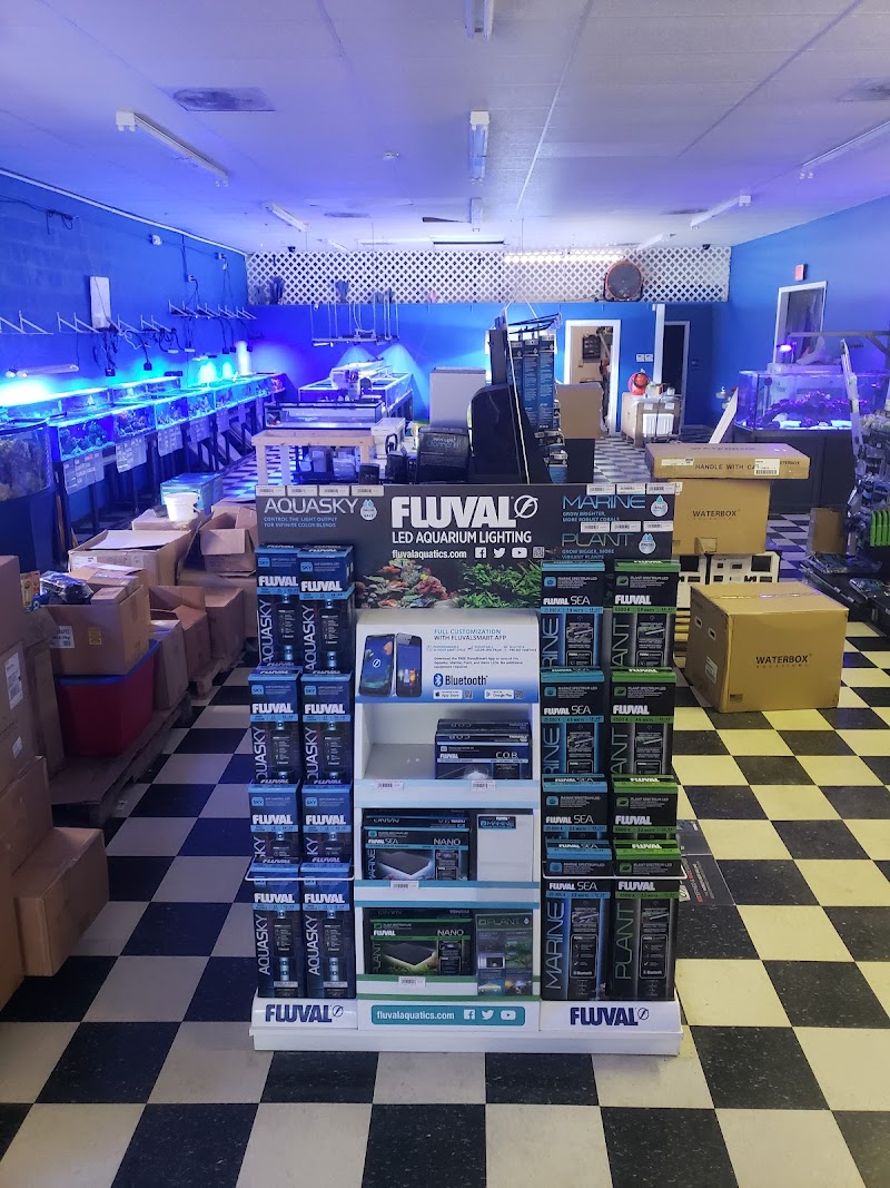 Boardroom Aquariums - Photo 4