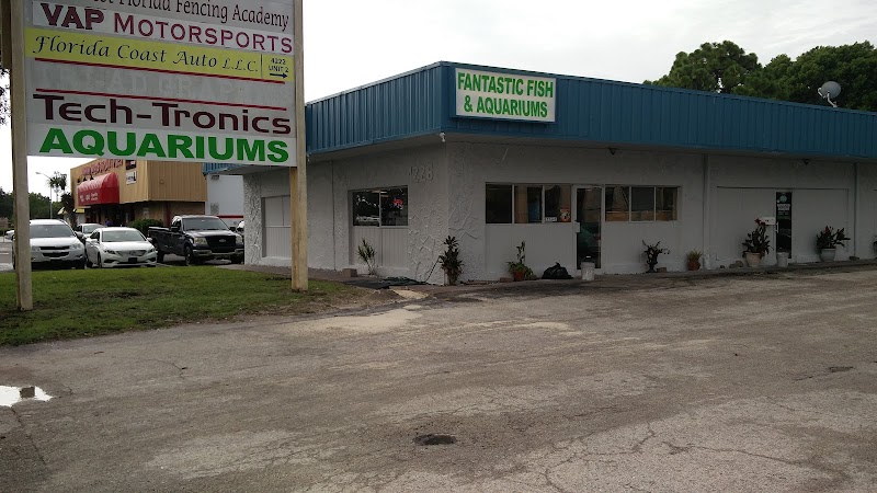 Fantastic Fish - Photo 1