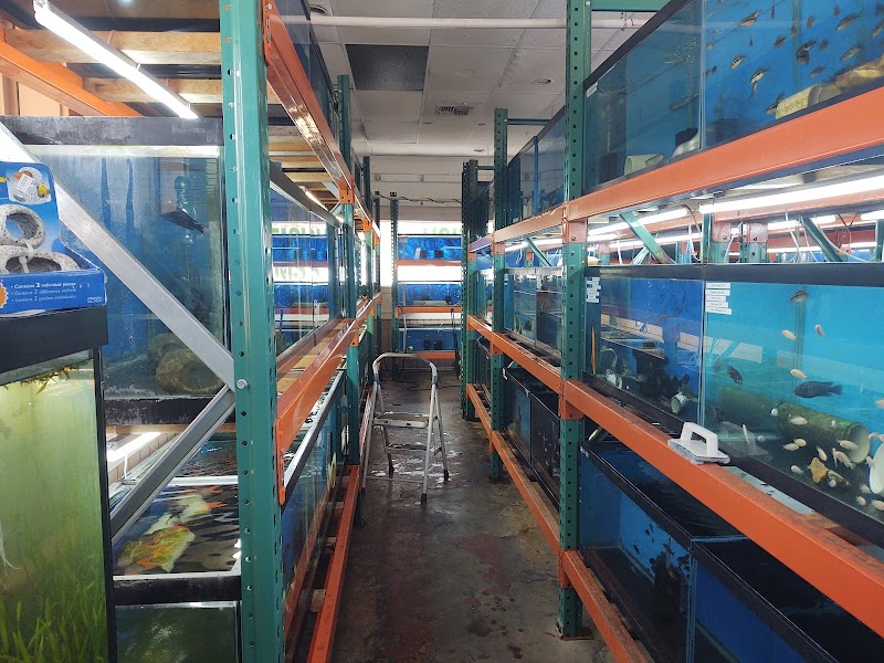 Fantastic Fish - Photo 2