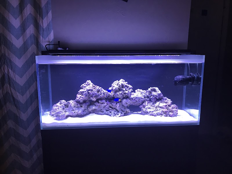 Fantastic Fish - Photo 3