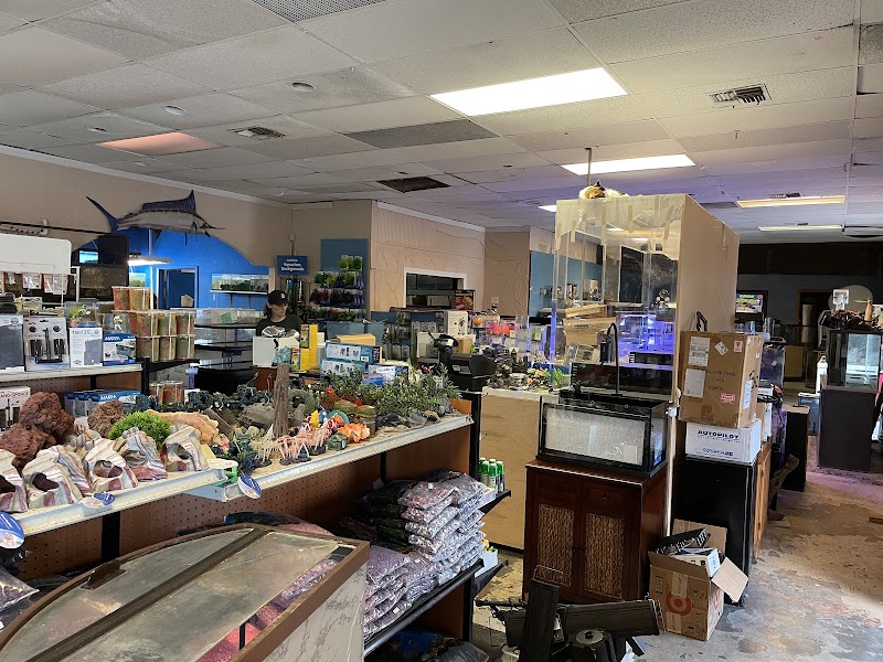 Fantastic Fish - Photo 5