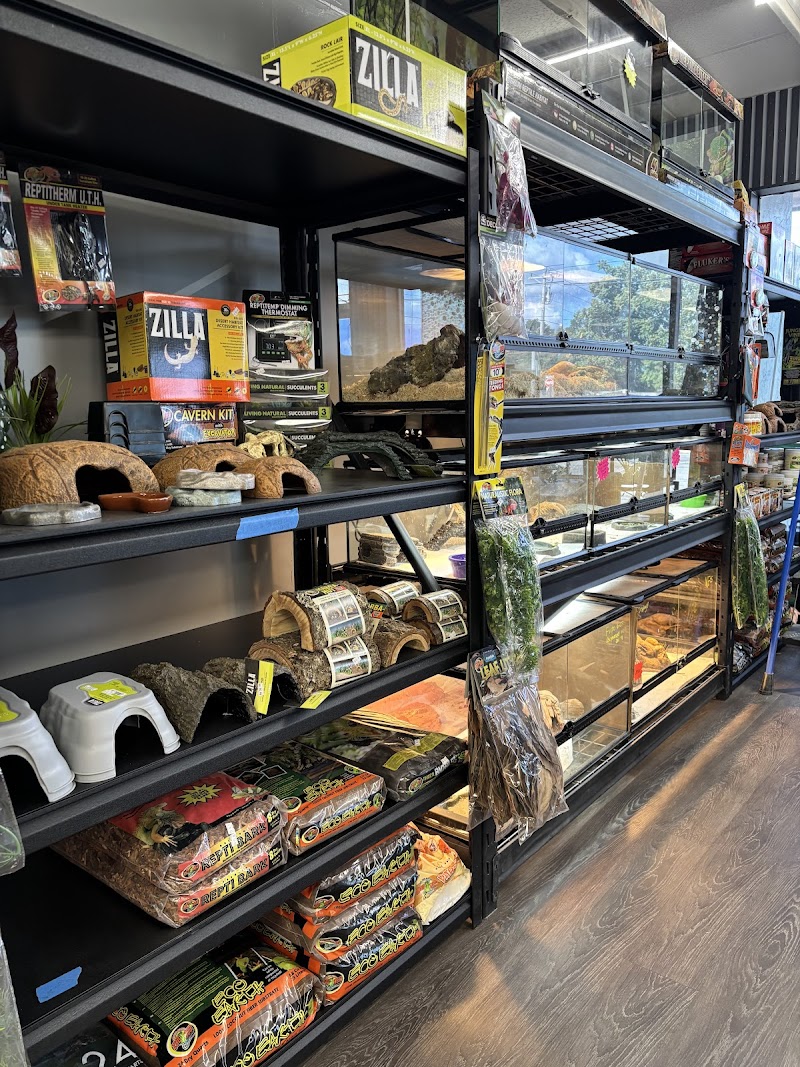 Agocs Exotics - Photo 2