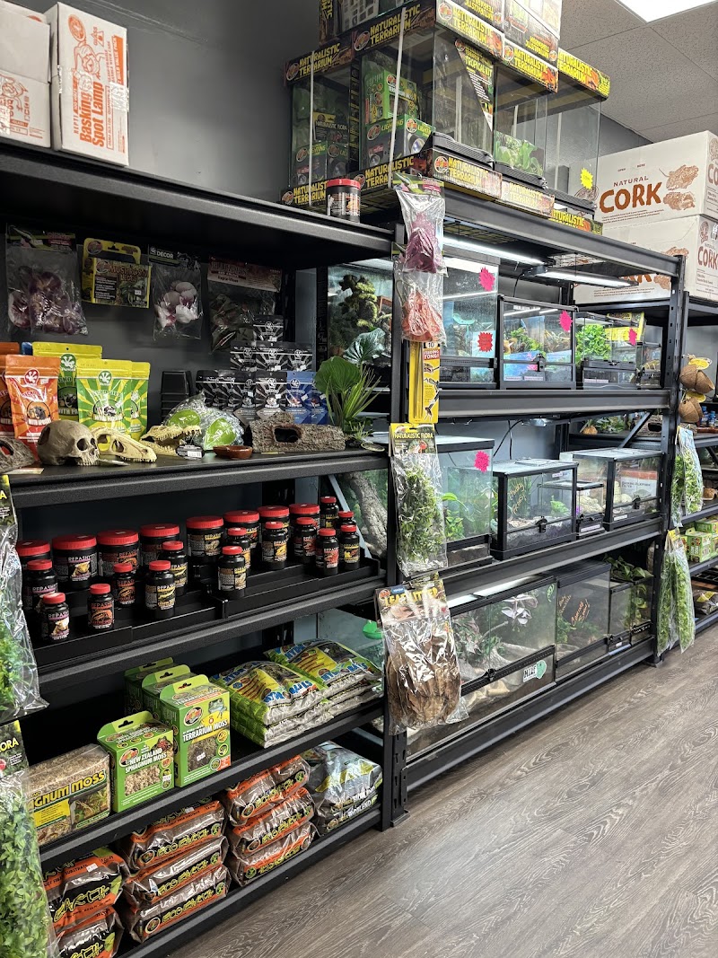 Agocs Exotics - Photo 5