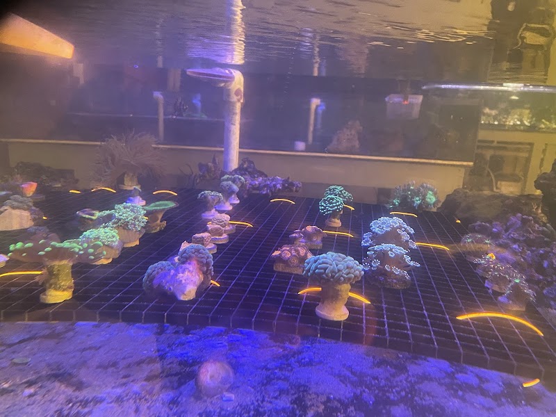 PNC Fish and More - Photo 1