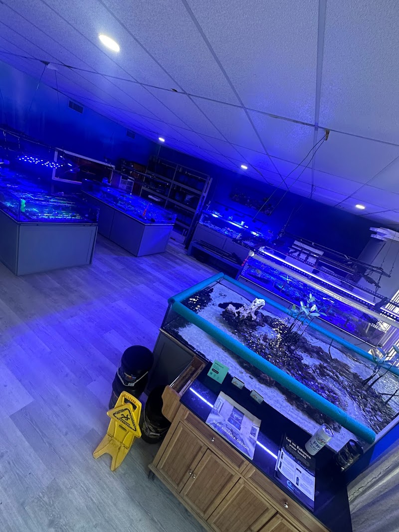 PNC Fish and More - Photo 2