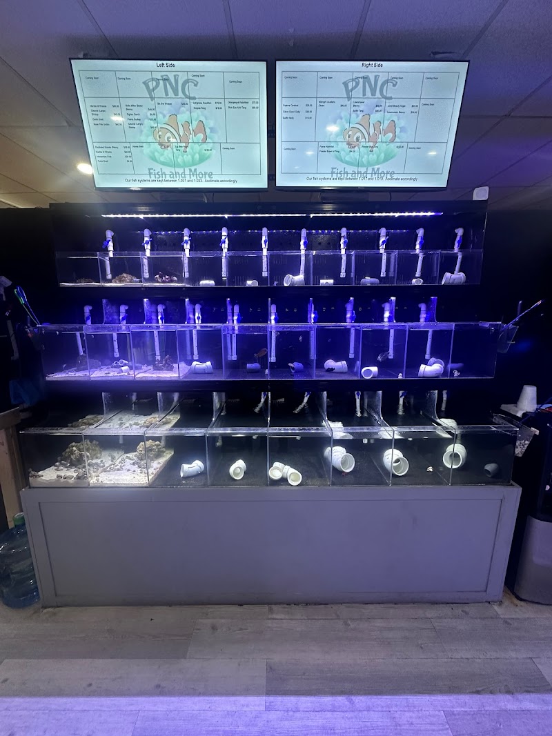 PNC Fish and More - Photo 3