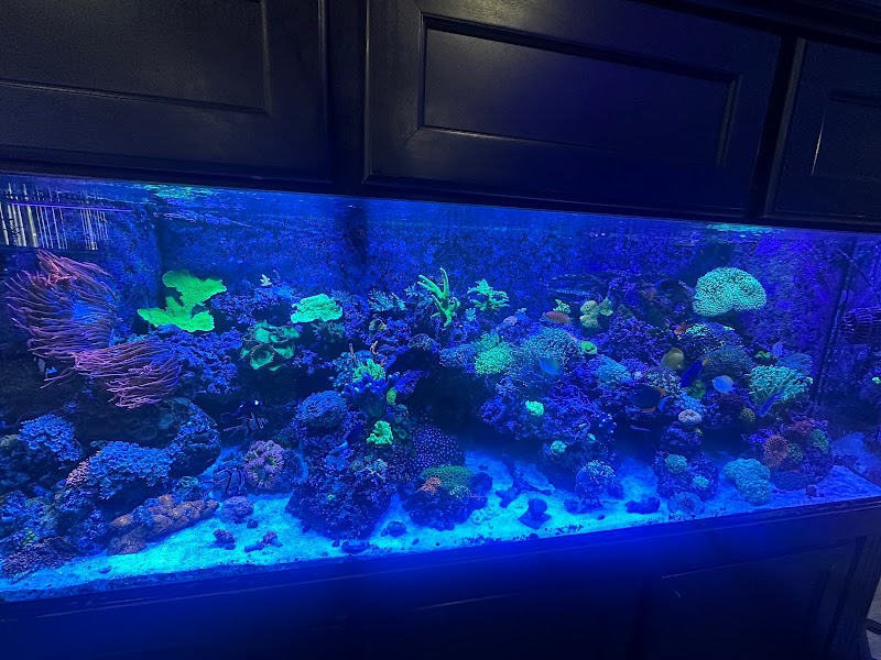 PNC Fish and More - Photo 4