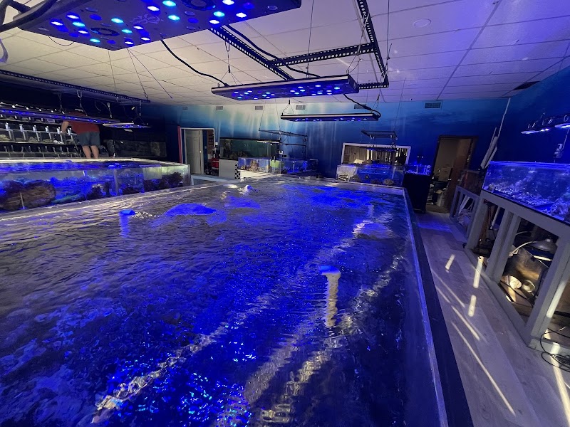 PNC Fish and More - Photo 5