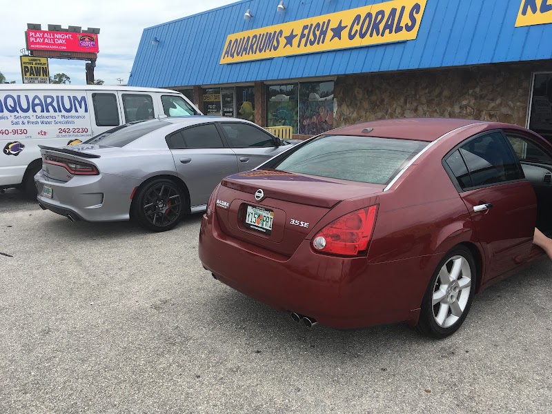 Aquariums and Reef Center - Photo 1