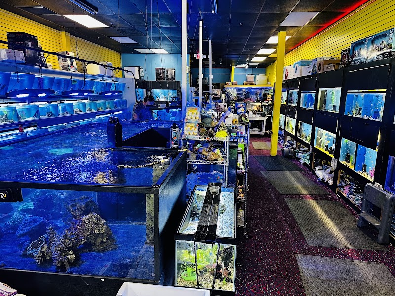 Aquariums and Reef Center - Photo 3