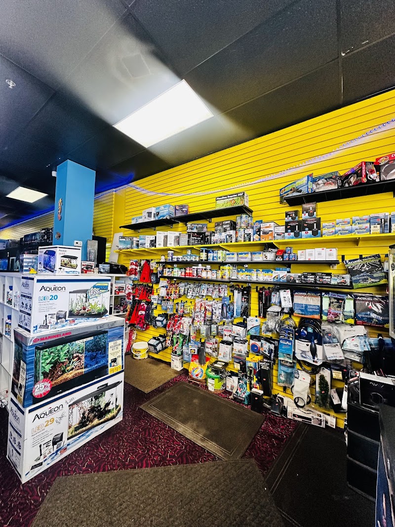 Aquariums and Reef Center - Photo 4