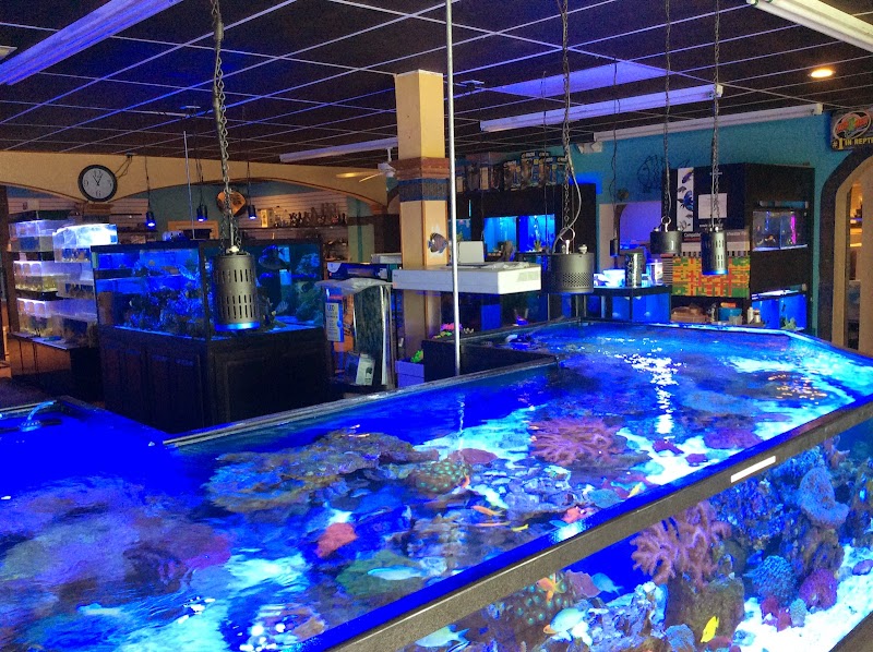 Aquariums and Reef Center - Photo 5