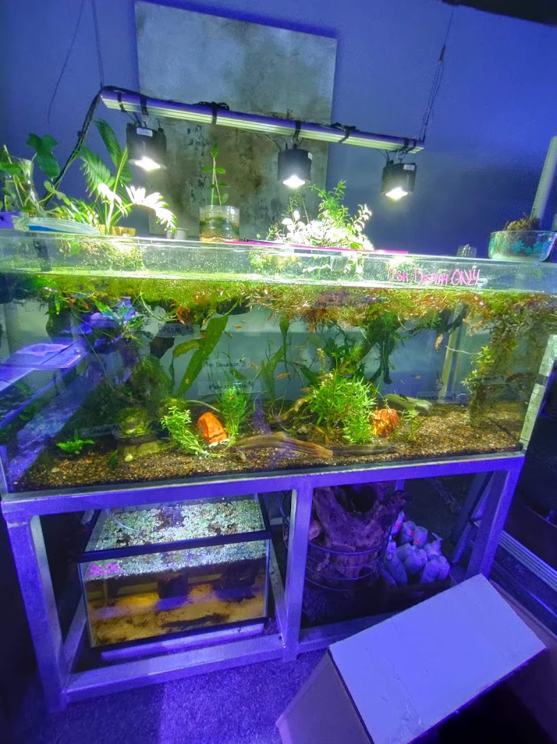 Sea Life Fish & Aquariums - Photo 2