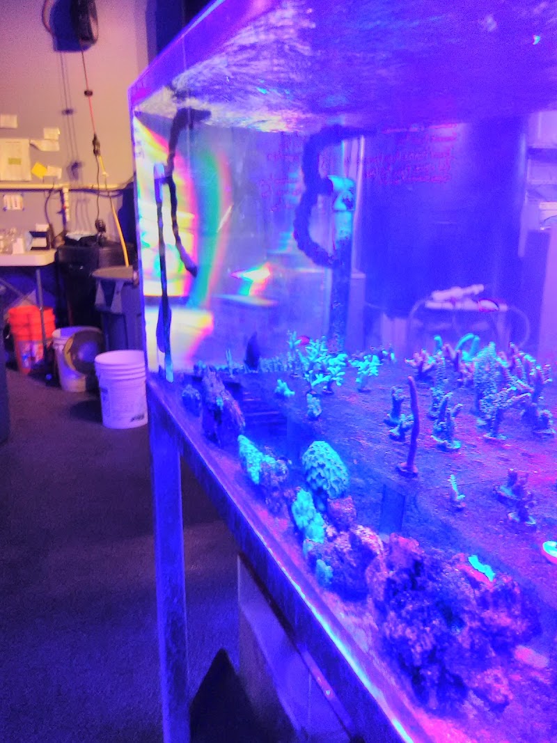 Sea Life Fish & Aquariums - Photo 3