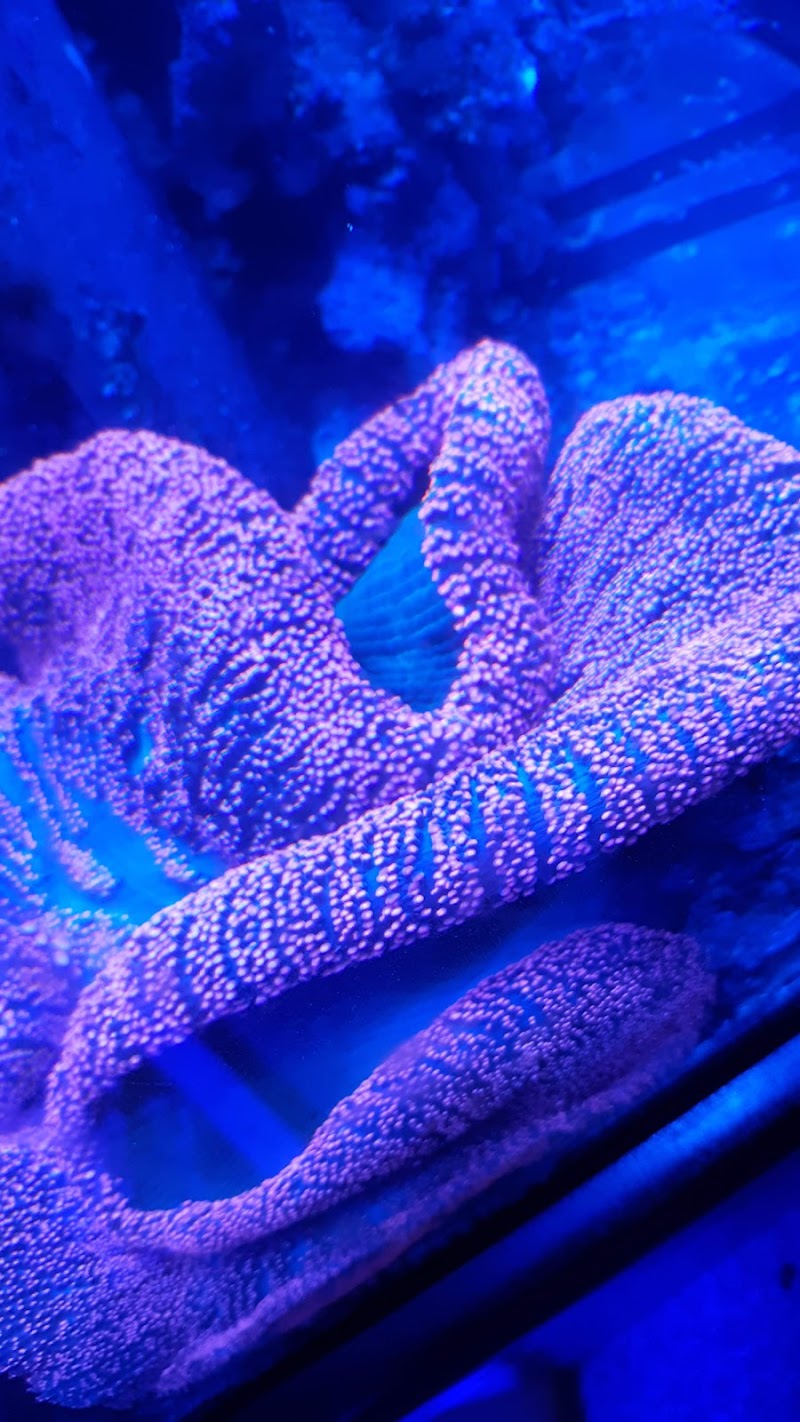 Sea Life Fish & Aquariums - Photo 4