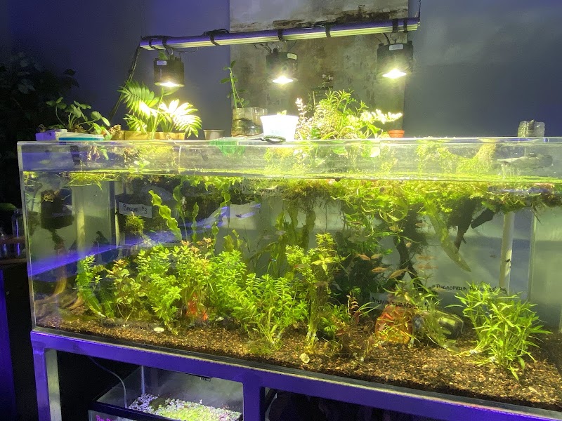 Sea Life Fish & Aquariums - Photo 5