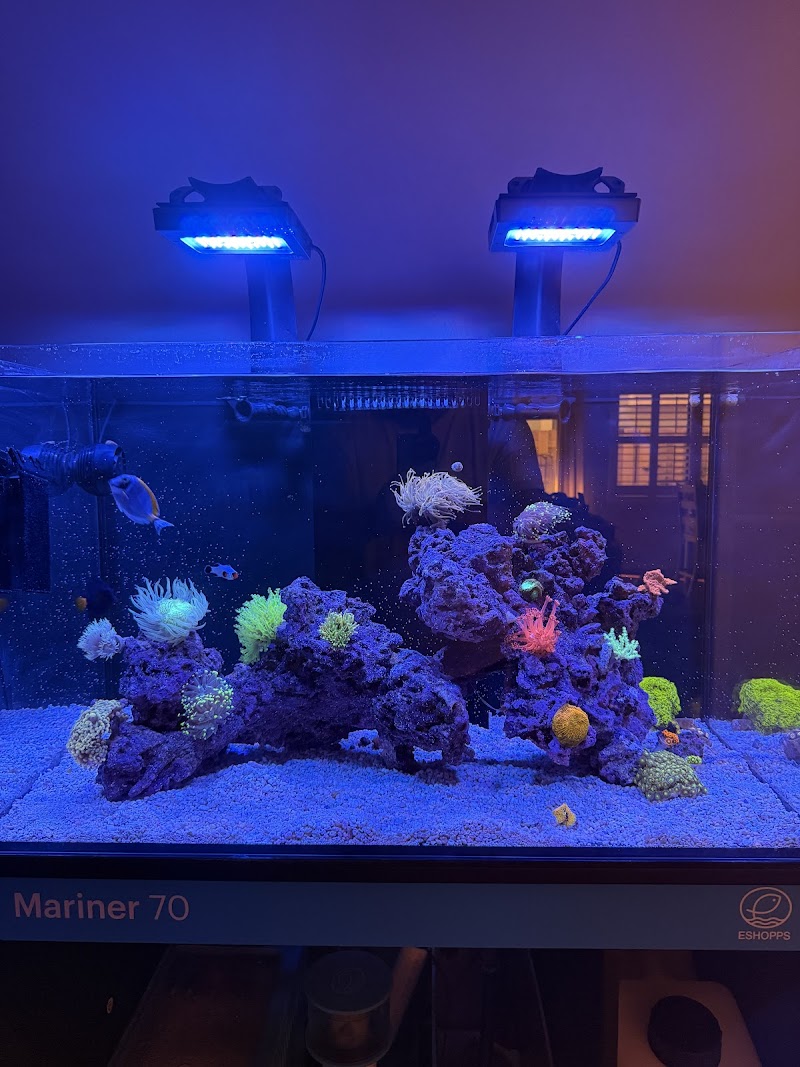 Cardinal Aquariums - Photo 3