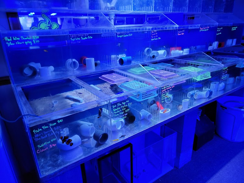 Cardinal Aquariums - Photo 4