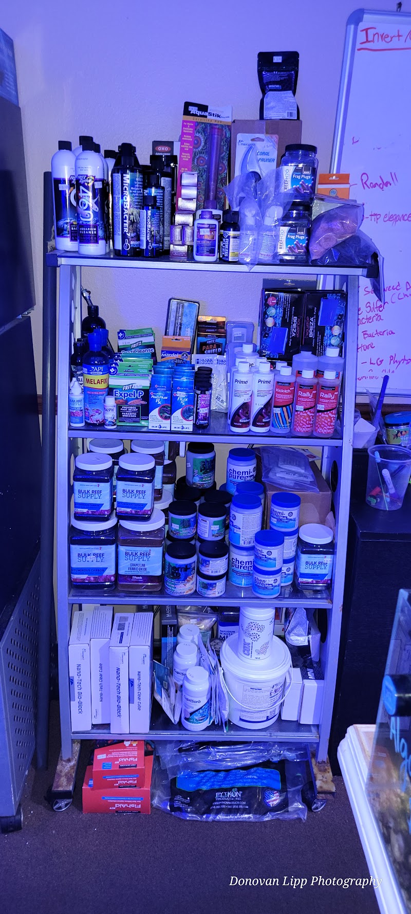 Cardinal Aquariums - Photo 5