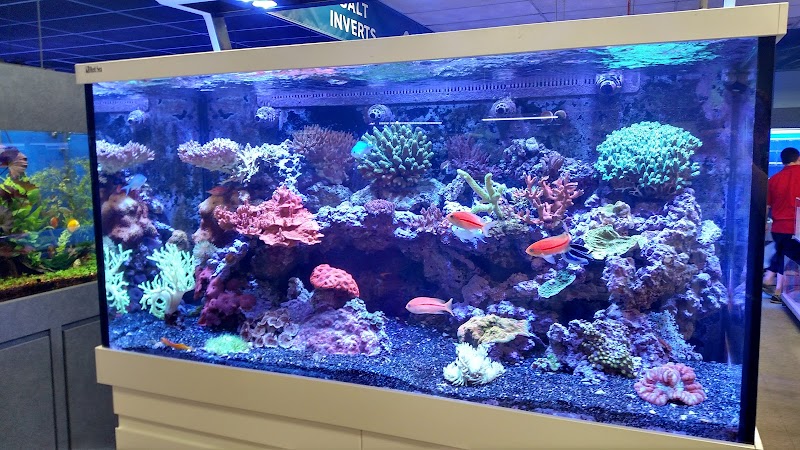 Marine Warehouse Aquarium - Photo 3