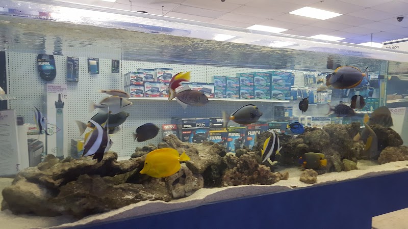 Marine Warehouse Aquarium - Photo 4