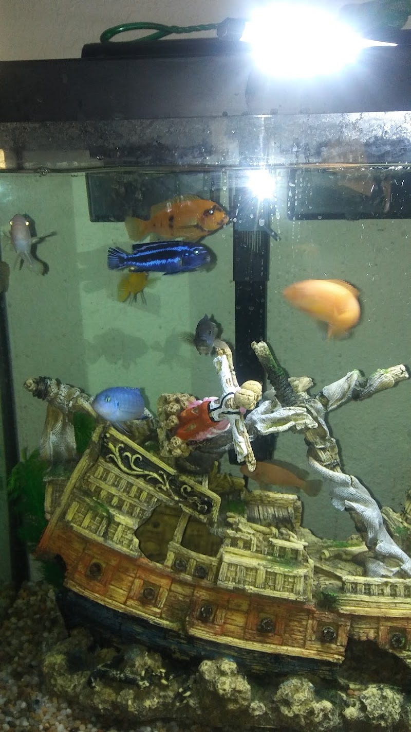 Marine Warehouse Aquarium - Photo 5