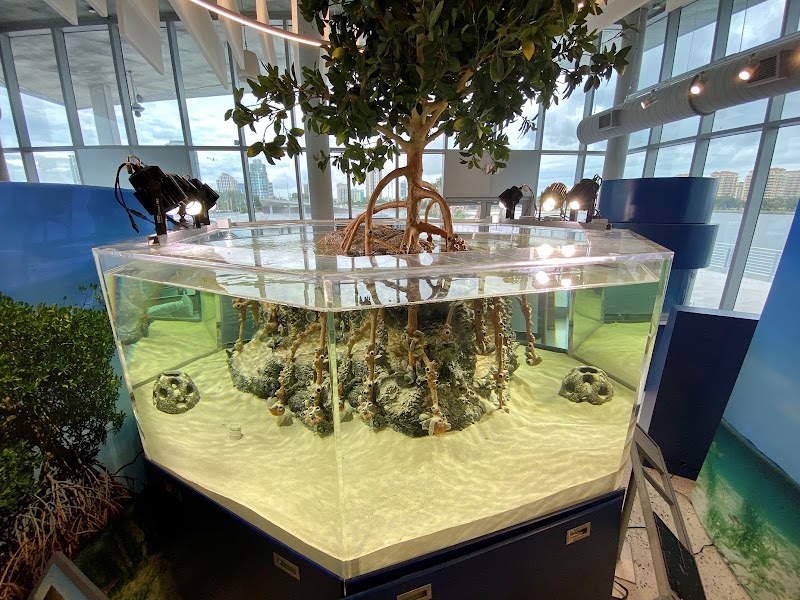 Suncoast Aquarium Inc - Photo 3