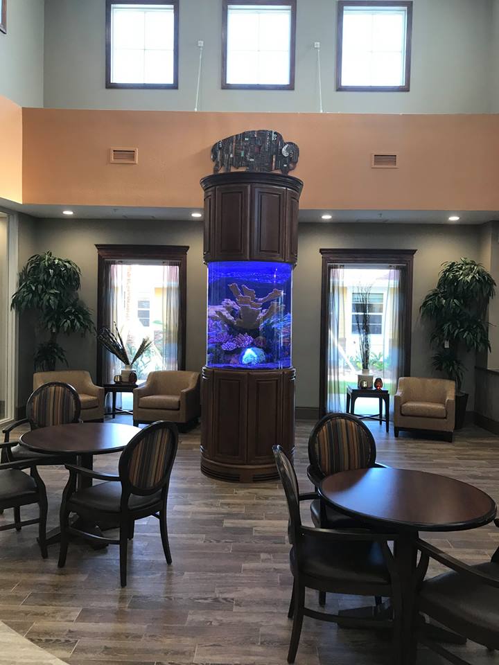 Suncoast Aquarium Inc - Photo 4