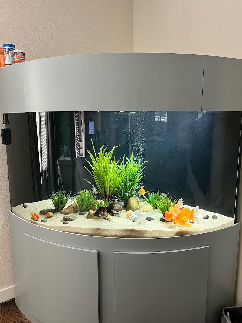 Suncoast Aquarium Inc - Photo 5