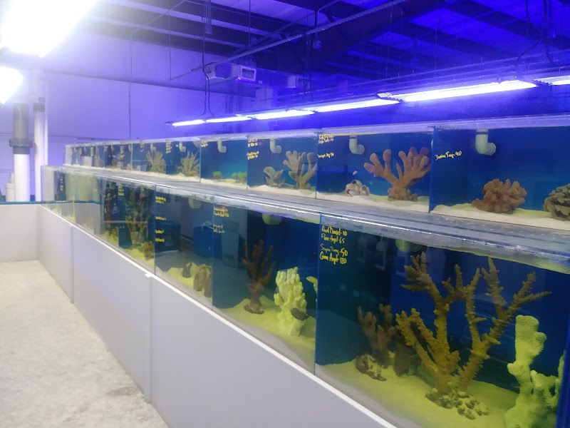 The Coral Corral - Photo 3