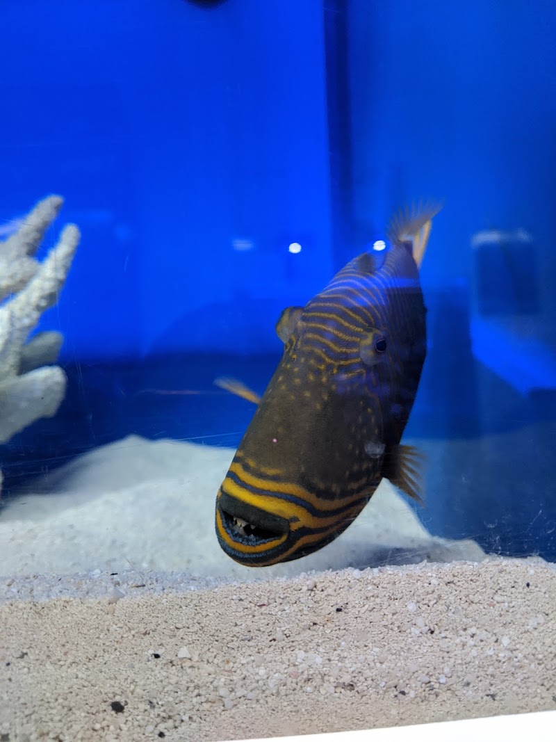 The Coral Corral - Photo 5