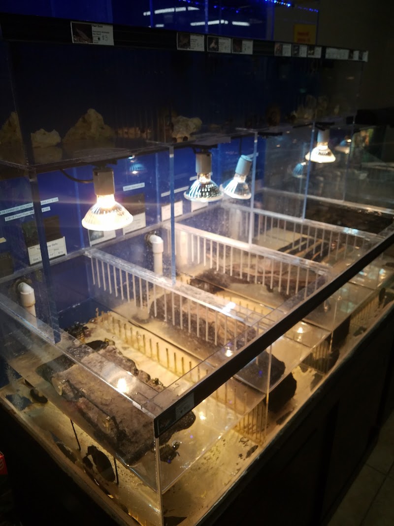 Fins and Skins - Photo 2