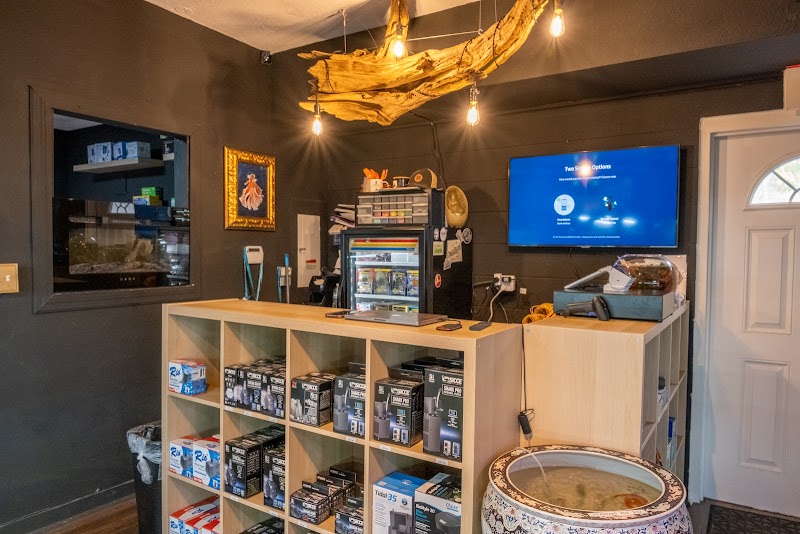 Aquatic Galleria - Photo 4