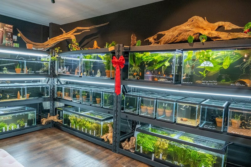 Aquatic Galleria - Photo 5